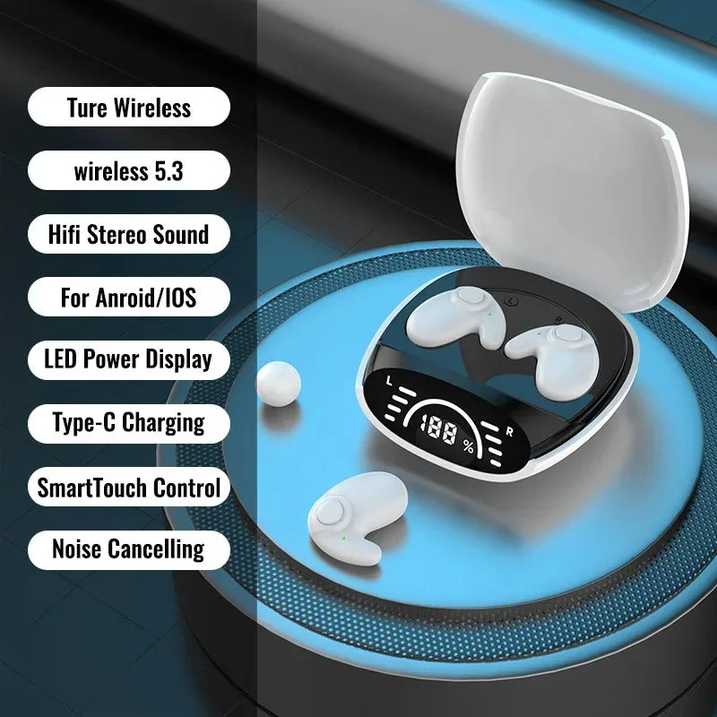 AI Translation Earphones